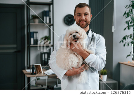 Doctor in white coat is standing and holding maltese dog in hands. In the clinic 126276315