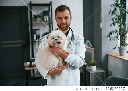 Doctor in white coat is standing and holding maltese dog in hands. In the clinic 126276317