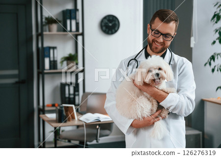 In glasses. Doctor in white coat is standing and holding maltese dog in hands. In the clinic In glasses. Doctor in white coat is standing and holding maltese dog in hands. In the clinic 126276319