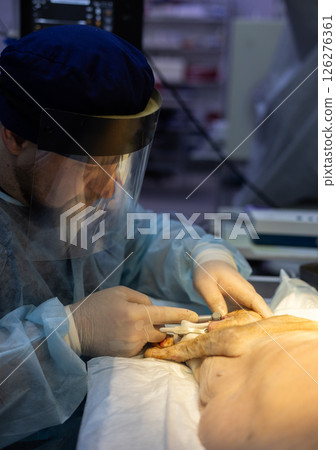 A veterinarian performs a delicate surgical procedure on an animal in a modern veterinary clinic, demonstrating professionalism and an advanced approach to providing medical care to animals. A veterinarian performs a delicate surgical procedure on an animal in a modern veterinary clinic, demonstrating professionalism and an advanced approach to providing medical care to animals. 126276361