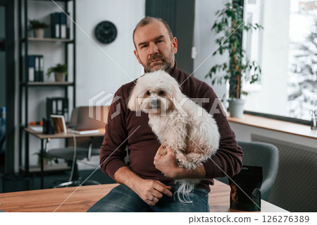 Sitting on the table. Man in casual clothes is indoors with his cute maltese dog 126276389