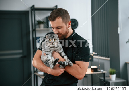 Man is holding the animal in hands. Groomer is taking care of scottish fold gray tabby cat indoors Man is holding the animal in hands. Groomer is taking care of scottish fold gray tabby cat indoors 126276465