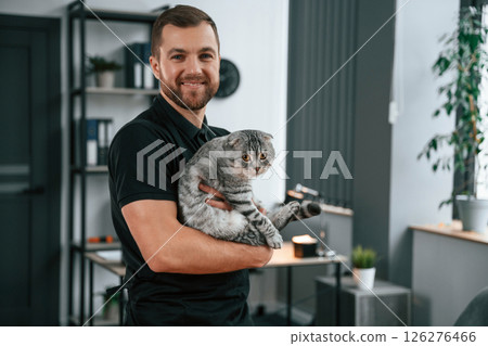Man is holding the animal in hands. Groomer is taking care of scottish fold gray tabby cat indoors Man is holding the animal in hands. Groomer is taking care of scottish fold gray tabby cat indoors 126276466