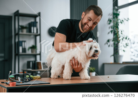 Animal is on the table. Groomer is with Maltese dog indoors. Man is in the black uniform 126276470