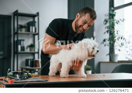 Animal is on the table. Groomer is with Maltese dog indoors. Man is in the black uniform Animal is on the table. Groomer is with Maltese dog indoors. Man is in the black uniform 126276471