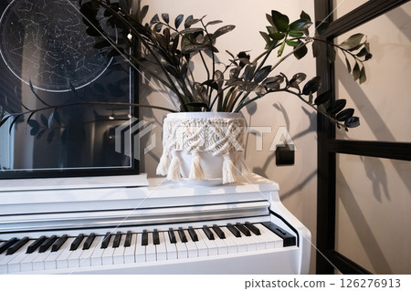 A cozy corner featuring a white piano adorned with a decorative plant in a contemporary home setting. Flower pot with zamioculcas plant decorated with diy macrame 126276913