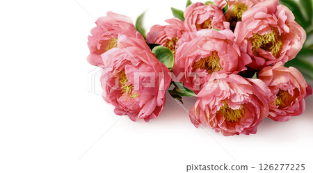 A Gorgeous Arrangement of Beautiful Pink Peonies for Your Springtime Decor Inspiration 126277225