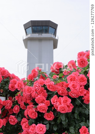 Control tower and pink climbing roses in full bloom Control tower and pink climbing roses in full bloom 126277769