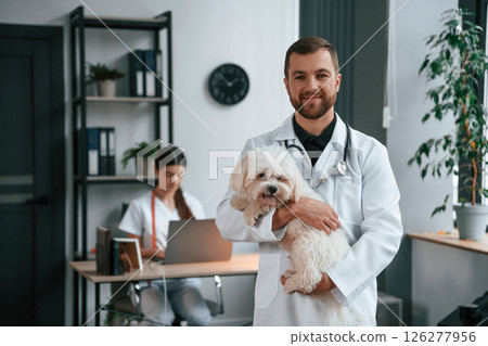 Woman is sitting by laptop. Male and female doctors are taking care of maltese dog in the clinic 126277956