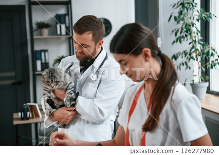 With pet in hands. Cheerful man. Male and female doctors is taking care of scottish fold gray tabby cat in the clinic With pet in hands. Cheerful man. Male and female doctors is taking care of scottish fold gray tabby cat in the clinic 126277980