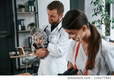 With pet in hands. Cheerful man. Male and female doctors is taking care of scottish fold gray tabby cat in the clinic With pet in hands. Cheerful man. Male and female doctors is taking care of scottish fold gray tabby cat in the clinic 126277981