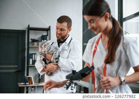 With pet in hands. Cheerful man. Male and female doctors is taking care of scottish fold gray tabby cat in the clinic With pet in hands. Cheerful man. Male and female doctors is taking care of scottish fold gray tabby cat in the clinic 126277982