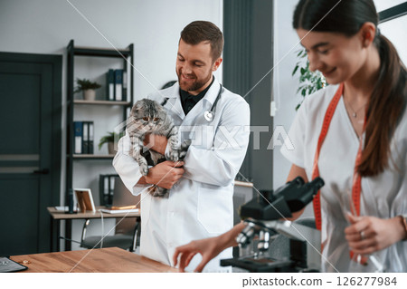 With pet in hands. Cheerful man. Male and female doctors is taking care of scottish fold gray tabby cat in the clinic With pet in hands. Cheerful man. Male and female doctors is taking care of scottish fold gray tabby cat in the clinic 126277984