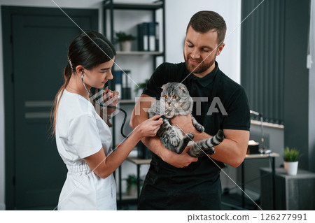 Woman is using stethosope. Male and female doctors is taking care of scottish fold gray tabby cat in the clinic Woman is using stethosope. Male and female doctors is taking care of scottish fold gray tabby cat in the clinic 126277991