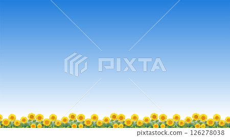 Summer landscape with sunflower field and blue sky_2 126278038
