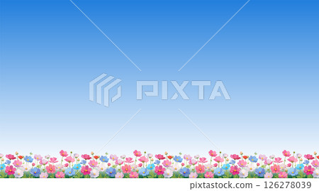 Autumn landscape with cosmos field and blue sky_1 126278039
