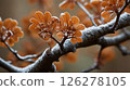 tree branches in bloom, close up image, green nature concept, copy space  126278105