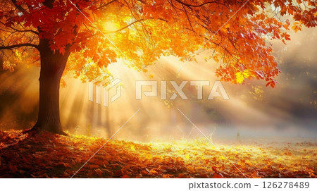Golden sunlight filters through the branches of an autumn tree, illuminating the colorful foliage and fallen leaves in a serene outdoor setting. Golden sunlight filters through the branches of an autumn tree, illuminating the colorful foliage and fallen leaves in a serene outdoor setting. 126278489