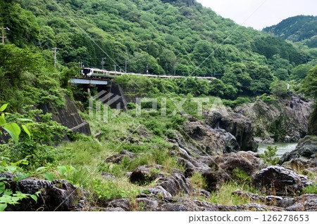 高山線的飛鎢特急（HC85系）經過岡久地區。 126278653
