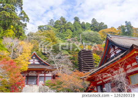 Tanzan Shrine: The main hall, thirteen-story pagoda, and shrine worship hall surrounded by autumn leaves 126280319