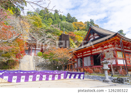 Tanzan Shrine: The main hall, thirteen-story pagoda, and shrine worship hall surrounded by autumn leaves 126280322
