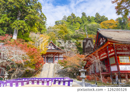 Tanzan Shrine: The main hall, thirteen-story pagoda, and shrine worship hall surrounded by autumn leaves Tanzan Shrine: The main hall, thirteen-story pagoda, and shrine worship hall surrounded by autumn leaves 126280326