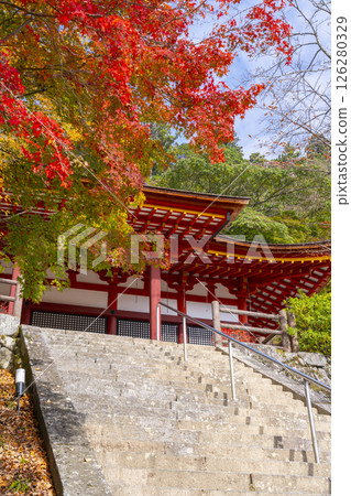 談山神社:被紅葉包圍的正殿 談山神社:被紅葉包圍的正殿 126280329
