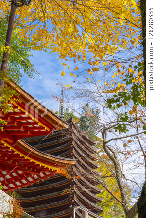 Tanzan Shrine: The main hall and thirteen-story pagoda surrounded by autumn leaves Tanzan Shrine: The main hall and thirteen-story pagoda surrounded by autumn leaves 126280335