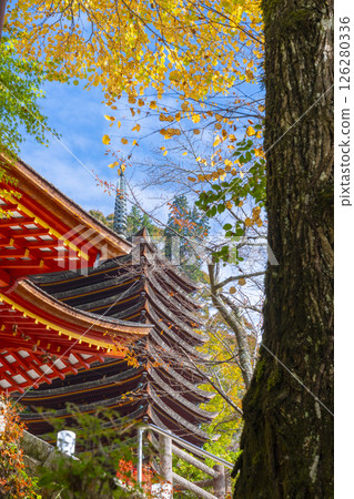Tanzan Shrine: The main hall and thirteen-story pagoda surrounded by autumn leaves 126280336