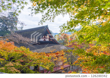 談山神社：被紅葉包圍的神社 126280342