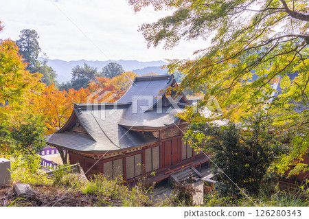 Tanzan Shrine - Main shrine hall surrounded by autumn leaves Tanzan Shrine - Main shrine hall surrounded by autumn leaves 126280343