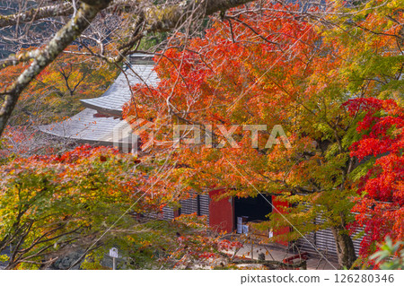 談山神社 - 被紅葉包圍的正殿 談山神社 - 被紅葉包圍的正殿 126280346