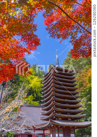 Tanzan Shrine: Thirteen-story pagoda surrounded by autumn leaves 126280360