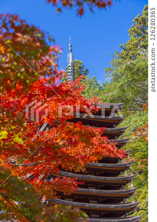 談山神社：紅葉環繞的十三重塔 126280365