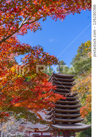 Tanzan Shrine: Thirteen-story pagoda surrounded by autumn leaves 126280366