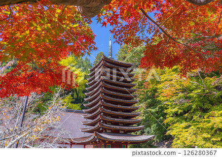 Tanzan Shrine: Thirteen-story pagoda surrounded by autumn leaves 126280367