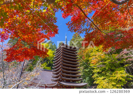 Tanzan Shrine: Thirteen-story pagoda surrounded by autumn leaves 126280369