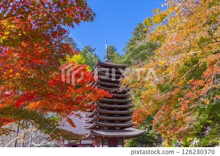 Tanzan Shrine: Thirteen-story pagoda surrounded by autumn leaves Tanzan Shrine: Thirteen-story pagoda surrounded by autumn leaves 126280370