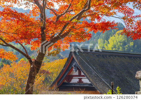 談山神社:被紅葉包圍的神社 談山神社:被紅葉包圍的神社 126280374