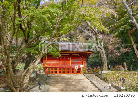 Autumn leaves season: The eastern treasure house of Tanzan Shrine Autumn leaves season: The eastern treasure house of Tanzan Shrine 126280380