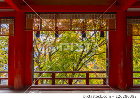 談山神社:從拜殿欣賞美麗的秋葉 談山神社:從拜殿欣賞美麗的秋葉 126280382