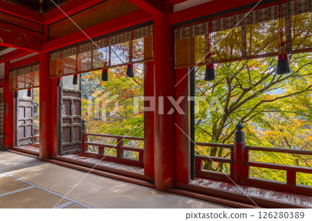 談山神社:從拜殿欣賞美麗的秋葉 談山神社:從拜殿欣賞美麗的秋葉 126280389