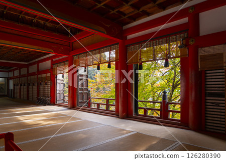 Tanzan Shrine: Beautiful autumn leaves seen from the worship hall 126280390