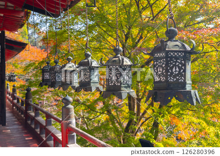 Tanzan Shrine: Hanging lanterns and beautiful autumn leaves 126280396