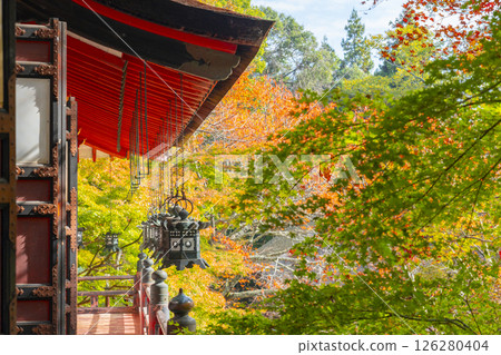 Tanzan Shrine: Hanging lanterns and beautiful autumn leaves 126280404