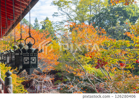 談山神社:高掛的燈籠與美麗的秋葉 談山神社:高掛的燈籠與美麗的秋葉 126280406