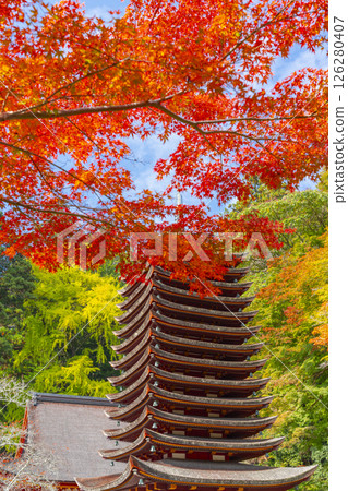 Tanzan Shrine: Thirteen-story pagoda surrounded by autumn leaves Tanzan Shrine: Thirteen-story pagoda surrounded by autumn leaves 126280407