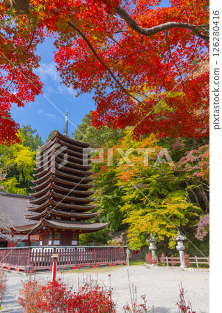 Tanzan Shrine: Thirteen-story pagoda surrounded by autumn leaves Tanzan Shrine: Thirteen-story pagoda surrounded by autumn leaves 126280416