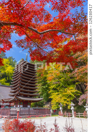 Tanzan Shrine: Thirteen-story pagoda surrounded by autumn leaves 126280417