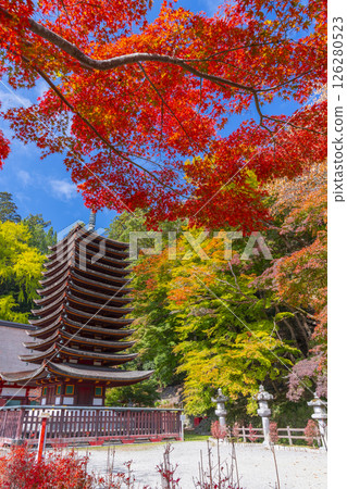 談山神社:紅葉環繞的十三重塔 談山神社:紅葉環繞的十三重塔 126280523